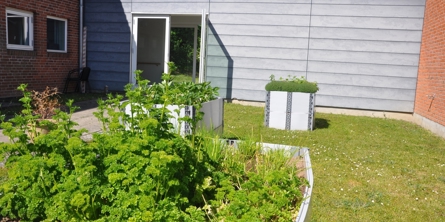 Højbed med grønne urter i haven på Solgaven med grønt græs omkring