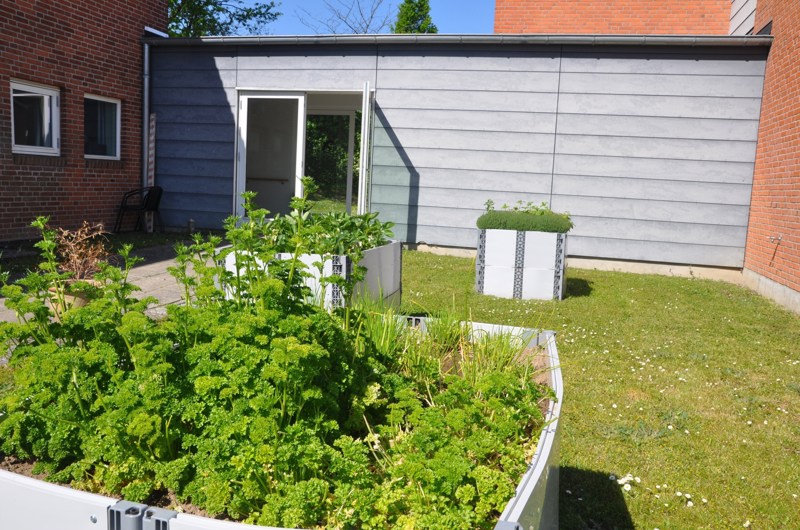 Højbed med grønne urter i haven på Solgaven med grønt græs omkring