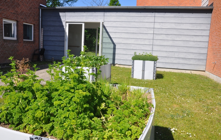 Højbed med grønne urter i haven på Solgaven med grønt græs omkring